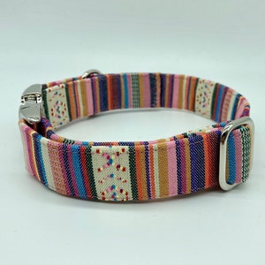 Adjustable Dog Collar, brightly colored boy girl dog collar #3