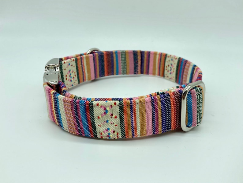 Adjustable Dog Collar, brightly colored boy girl dog collar #3