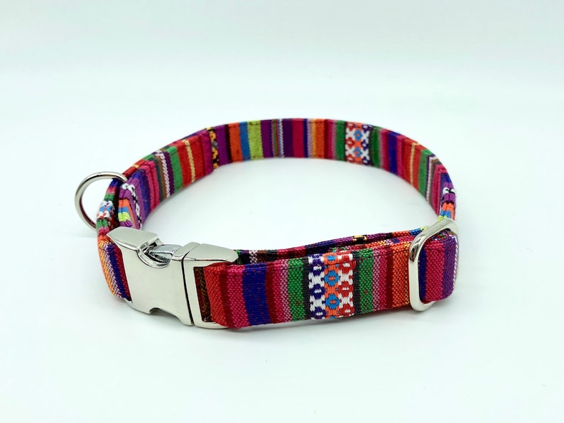 Adjustable Dog Collar, brightly colored boy girl dog collar #1