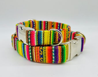 Adjustable Dog Collar, brightly colored boy + girl dog collar Peru