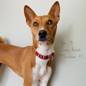 K&ouml;nnte beinhalten: Ein brauner und wei&szlig;er Hund, der ein rot-schwarz-gelb gestreiftes Halsband tr&auml;gt. Das Halsband ist 2 cm breit und hat die Gr&ouml;&szlig;e 8. Der Text "Muster #1" steht an der Wand hinter dem Hund.