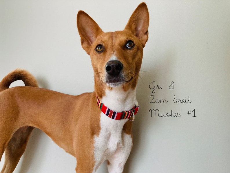 K&ouml;nnte beinhalten: Ein brauner und wei&szlig;er Hund, der ein rot-schwarz-gelb gestreiftes Halsband tr&auml;gt. Das Halsband ist 2 cm breit und hat die Gr&ouml;&szlig;e 8. Der Text "Muster #1" steht an der Wand hinter dem Hund.