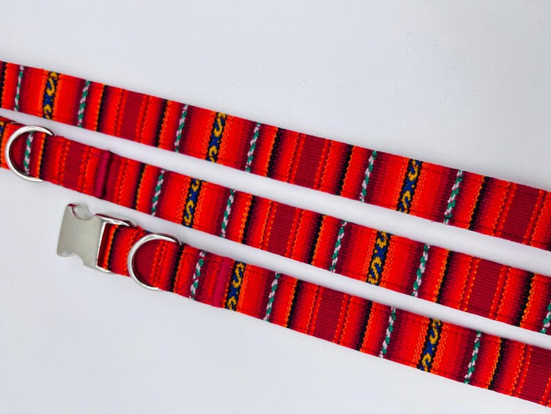 May include: Two red, orange, and blue striped dog collars with silver metal buckles and D-rings.