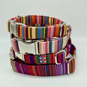 Adjustable Dog Collar, brightly colored boy girl dog collar image 1