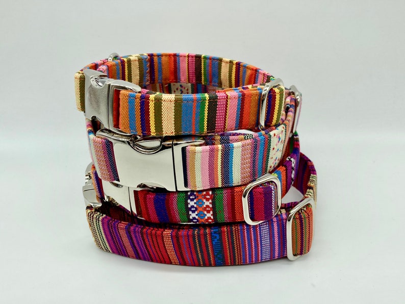 Adjustable Dog Collar, brightly colored boy girl dog collar image 1