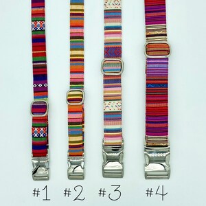 Adjustable Dog Collar, brightly colored boy girl dog collar image 2