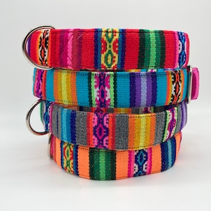 Può includere: Quattro collari per cani colorati con un motivo intrecciato in tonalità di rosso, arancione, giallo, verde, blu, viola e grigio. I collari hanno anelli a D in metallo argentato.