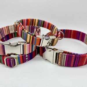 Adjustable Dog Collar, brightly colored boy girl dog collar image 4