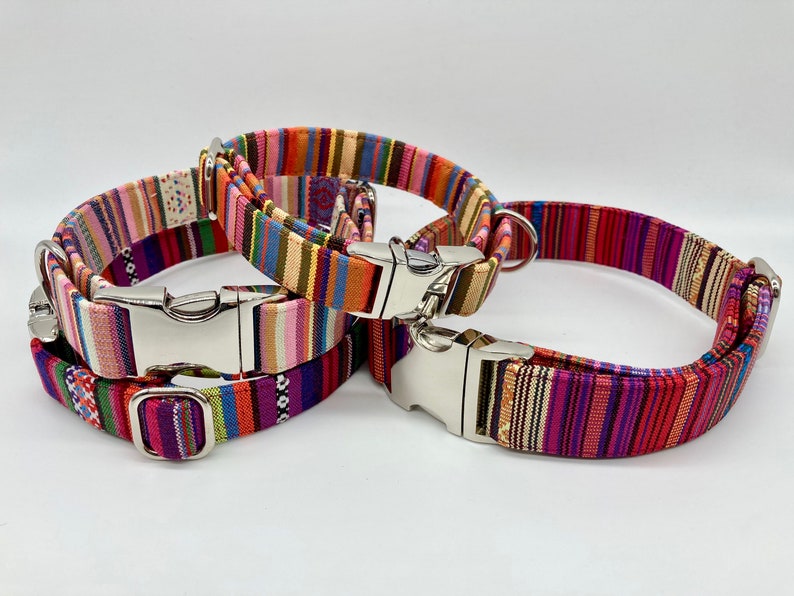 Adjustable Dog Collar, brightly colored boy girl dog collar image 4