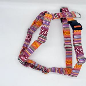 May include: A colorful dog harness with a woven pattern in shades of red, orange, purple, and yellow. The harness features adjustable straps, metal hardware, and a black plastic buckle. The design includes geometric shapes and stripes.