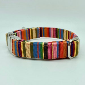 Adjustable Dog Collar, brightly colored boy girl dog collar #2