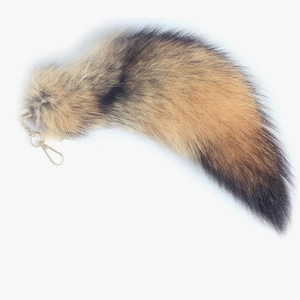 Real Ethically sourced gray fox tails!