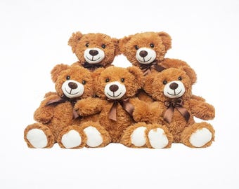 Osos de peluche suaves de 5 piezas (34 cm) – Peluches adorables para niños