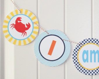 PREPPY  BEACH First Birthday Highchair Banner I Am One Red Blue Yellow