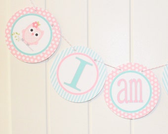 LOOK WHOOO'S .... OWL Theme Birthday or Baby Shower Highchair Banner I Am One Pink Aqua - Party Packs Available