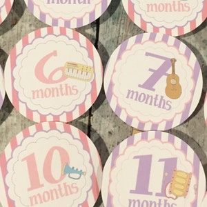 MUSICAL INSTRUMENTS 1st Birthday Photo Clips Banner Newborn 12 months Pink Lavender Party Packs Available image 2