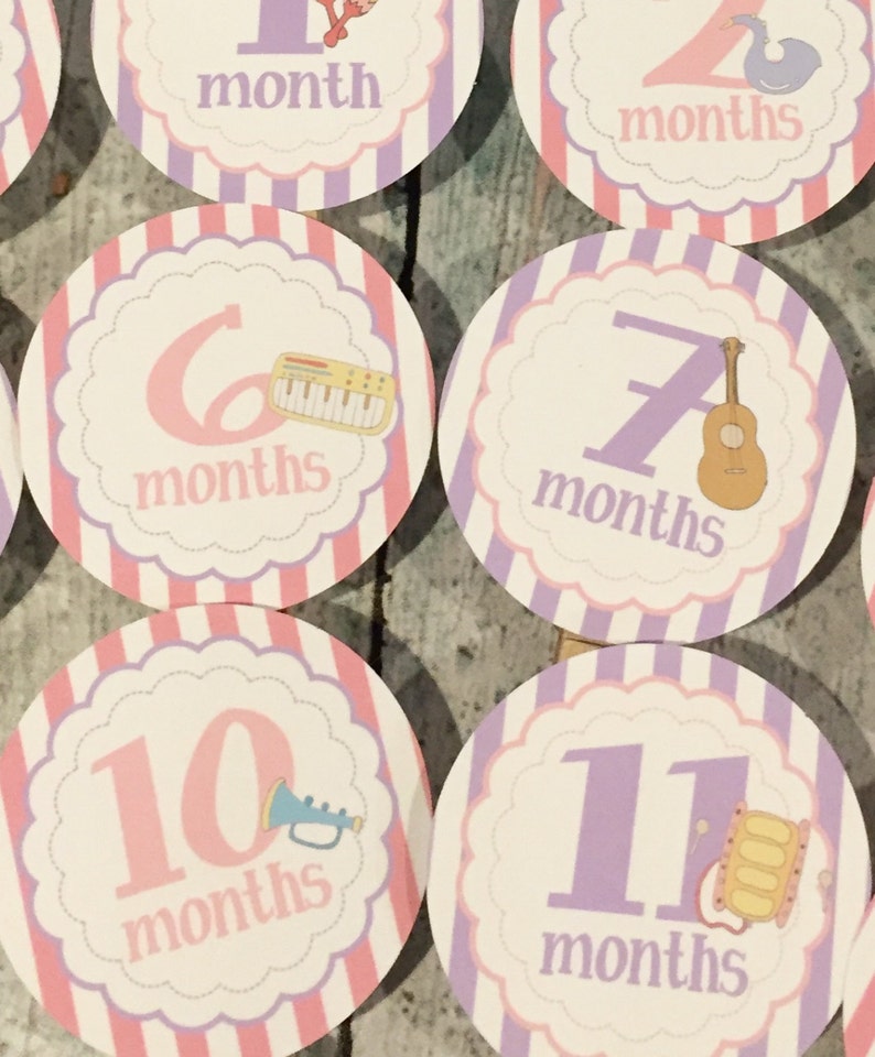 MUSICAL INSTRUMENTS 1st Birthday Photo Clips Banner Newborn 12 months Pink Lavender Party Packs Available image 2