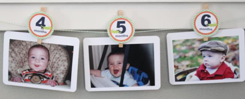 MUSICAL INSTRUMENTS 1st Birthday Photo Clips Banner Newborn 12 months Pink Lavender Party Packs Available image 3