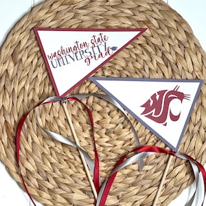 COLLEGE GRADUATION Centerpiece Pennant Flag Choose Your School, Colors, and Mascot