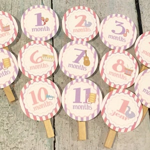 MUSICAL INSTRUMENTS 1st Birthday Photo Clips Banner Newborn 12 months Pink Lavender Party Packs Available image 1