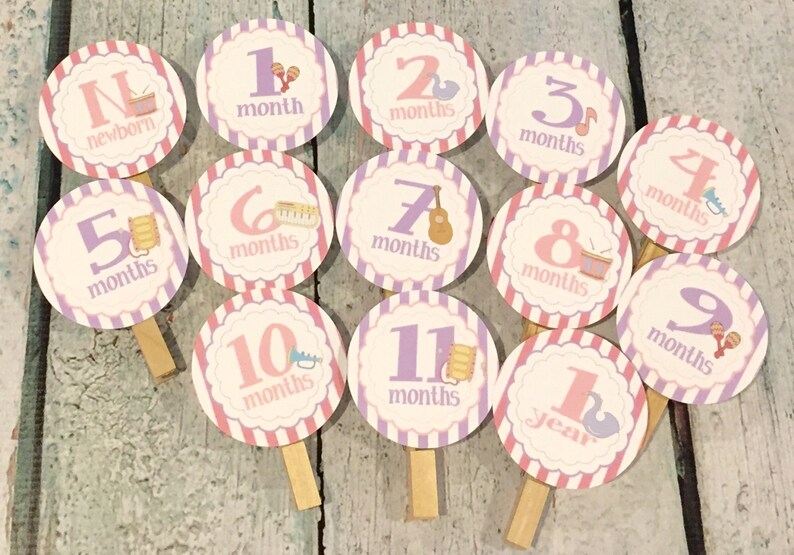 MUSICAL INSTRUMENTS 1st Birthday Photo Clips Banner Newborn 12 months Pink Lavender Party Packs Available image 1