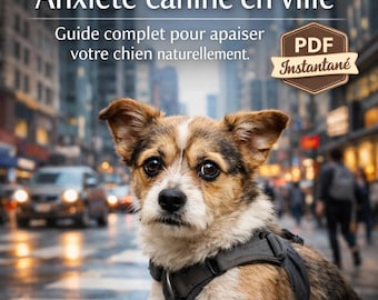 Anxiété canine en ville – Guide complet pour apaiser votre chien naturellement