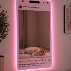 May include: A pink, illuminated wall mirror in the shape of a social media post. The mirror shows a cat resting on a rug. The text "mirrormomentsshop" and "Reflect your light" are visible. The mirror is mounted on a white wall.