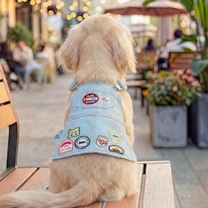 May include: A golden retriever wearing a light blue denim vest with various colourful patches. The vest has adjustable straps and a pocket. Patches include text and illustrations. The dog is sitting on a wooden bench.