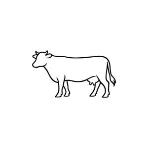 Op de afbeelding: Een eenvoudige zwart-wit lijntekening van een koe in profiel, naar links gericht. De illustratie toont een strakke, doorlopende omtrek van het lichaam van het dier, inclusief de kop, hoorns, vier poten, staart en uier op een effen achtergrond.
