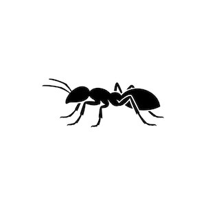 May include: A solid black silhouette of an ant shown in profile, facing towards the left. The insect graphic features a distinct head with two antennae, a segmented thorax, and a rounded abdomen, supported by six thin, articulated legs.