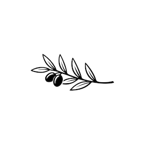 May include: A black and white illustration of an olive branch with two olives. The leaves and olives are depicted in a simple, elegant line drawing style, perfect for logos or decorative elements.