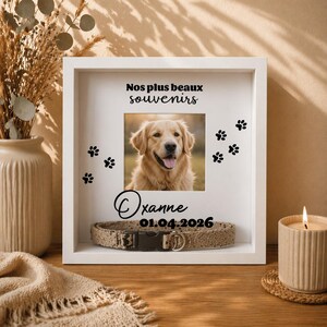 Personalized Pet Memorial 3D Shadow Box Frame | Dog & Cat Memorial Deep Display Case | Pet Death Sympathy Gift | Sorry For Your Loss