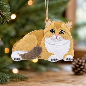 May include: A felt cat ornament featuring a ginger and white coat with a dark brown tail. The cat is in a lying position with large dark eyes, a pink nose, and white paws. It hangs from a thin twine loop attached to the top of the head.