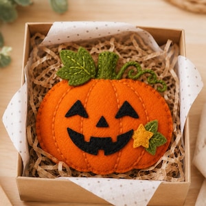 May include: An orange felt pumpkin jack-o'-lantern ornament with black felt eyes, nose, and a jagged mouth. It features a green felt leaf, a curled green vine, and a small yellow felt star accent. The pumpkin is nestled inside a square box.