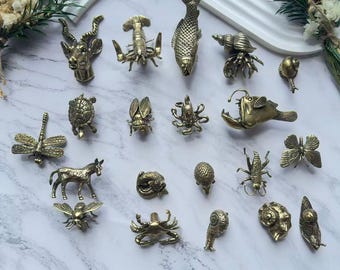 Antiqued Creativity Cabinet Knob,Brass Animals Marine insects Knob,Animals Dresser Knob,Cabinet Knob,drawer knob,Uniqueknob,Cabinet Hardware