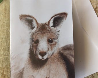 May include: A greeting card featuring a detailed illustration of a kangaroo. The kangaroo is depicted in shades of brown and tan, with a focused gaze. The card is accompanied by a white envelope, suggesting a complete set for sending a message.