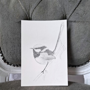 Original Fairy Wren Art – Mini Graphite Field Study, Cottagecore Wall Decor
