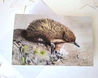 May include: A rectangular greeting card featuring a detailed illustration of a brown echidna with sharp quills, standing on a textured, earthy surface with patches of green grass, set against a soft, neutral-toned background.