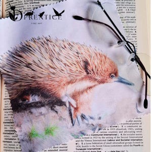 May include: A collage featuring an echidna illustration with brown and tan fur, a long snout, and a blue beak, layered over book pages. The text "PRENTICE FINE ART" is visible. A pair of eyeglasses rests on the page, adding a modern touch.