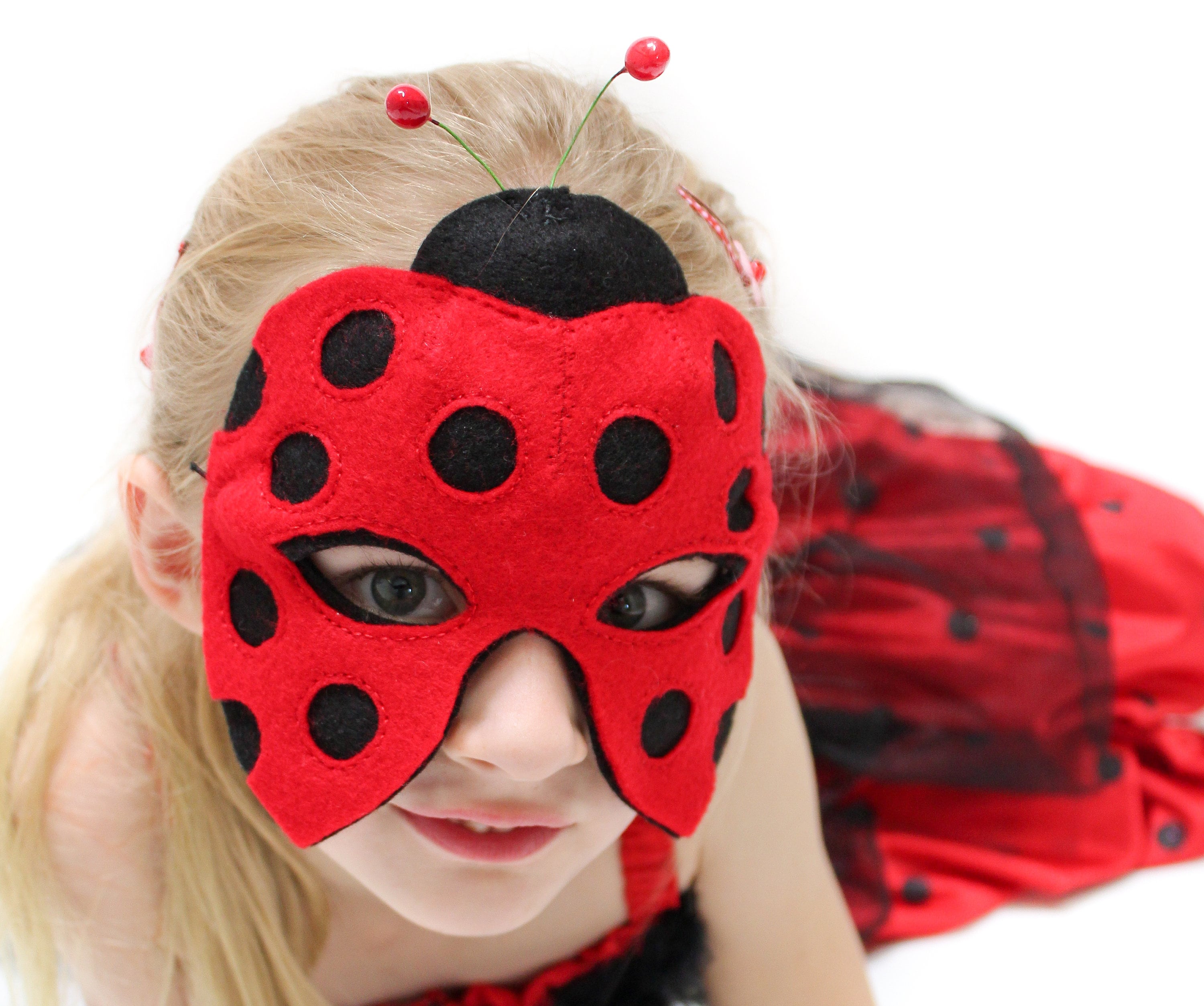 Ladybug Mask Pattern. Felt Ladybird Mask. Etsy