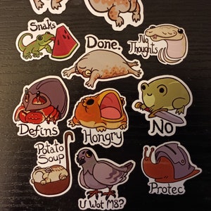 May include: A set of 10 colorful stickers featuring various cartoon animals with humorous text. The stickers include a frog, a gecko, a snail, a crab, a bird, and a toad. The text on the stickers includes "Snacks", "Done", "No Thoughts", "Defines", "Potato Soup", "U Wot M8?", "Hongry", "No", and "Protec".