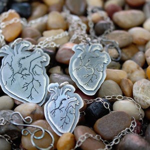 Human Heart Necklace. Anatomical Heart.  Small, Medium and Large Hearts. Hand Cut. Antiqued. Gift for Dr, Nurse, PA, Heart Patient, Lover