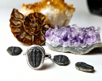Piccolo anello con trilobite! Fossili, misura personalizzata per te, anello fossile, creature antiche, storia indossabile, anello unisex, argento sterling artigianale