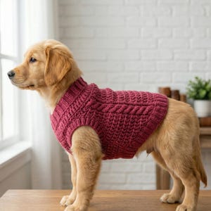 May include: A golden retriever puppy wearing a burgundy cable-knit dog sweater. The sweater has a high collar and a textured pattern. The dog is standing on a wooden surface in front of a white brick wall.