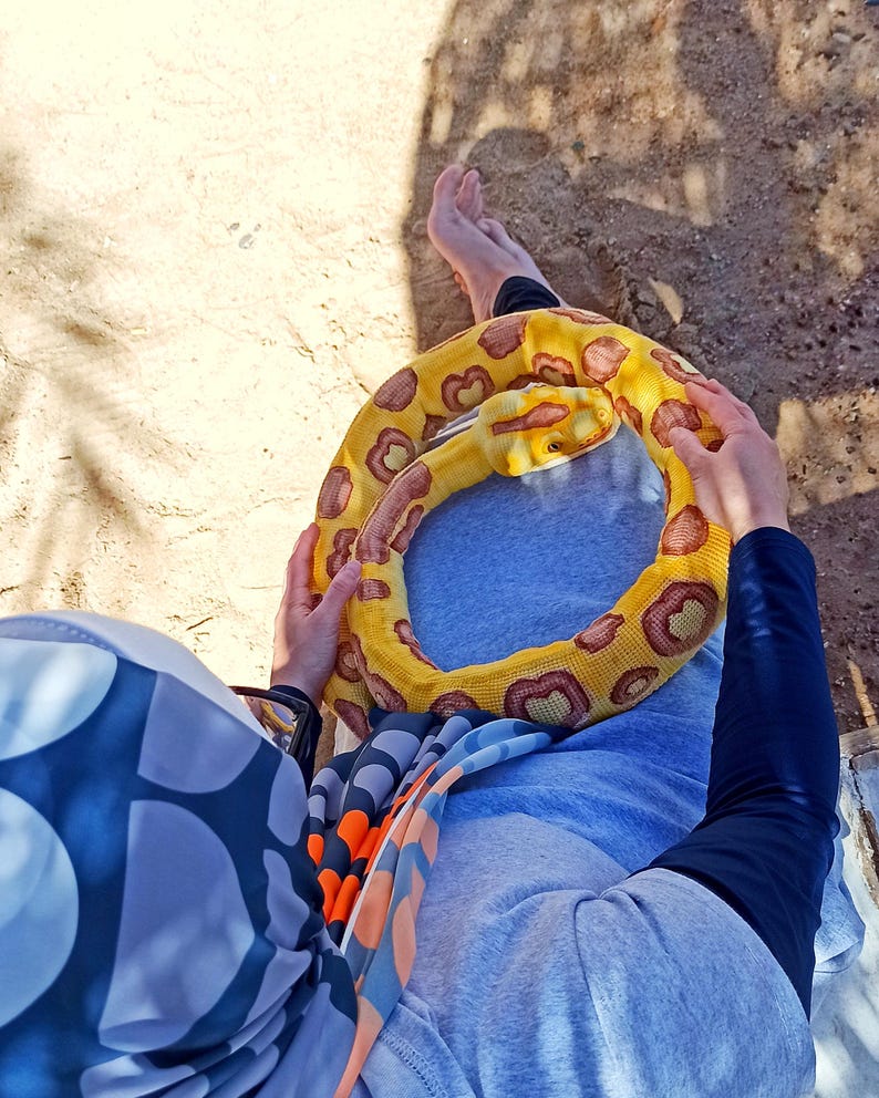 May include: A yellow and brown snake toy is held. The toy is coiled, with brown spots on a yellow background. The person is wearing a blue sweatshirt and a patterned scarf. The image is taken from an overhead perspective.