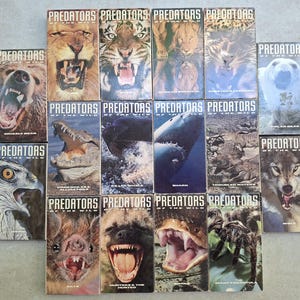 Peut inclure: Une collection de quinze cassettes VHS Predators of the Wild disposées en grille. Chaque boîtier rectangulaire présente une photographie haute résolution d'un animal différent, notamment un lion, un tigre, un grizzly, un requin et un loup.