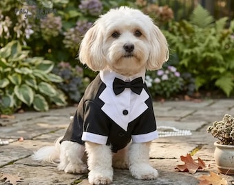 Traje de esmoquin para perro pequeño / Disfraz formal para mascota portador de anillos de boda