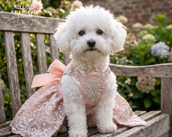Luxury Dog Wedding Dress Embroidered Lace Bow | Princess Dog Party Gown | Small Dog Bride Costume
