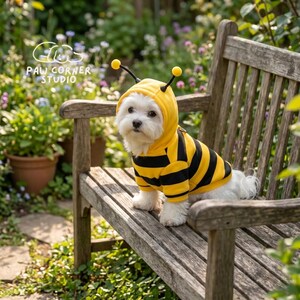 Könnte beinhalten: Ein kleiner weißer Hund, der ein gelb-schwarz gestreiftes Bienenkostüm mit Antennen trägt, sitzt auf einer Holzbank. Der Hund befindet sich in einem Garten mit Grün und Blumen. Das Kostüm hat eine Kapuze.
