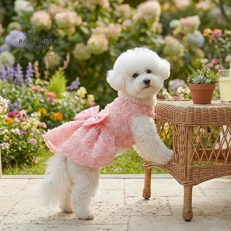 Robe rose brodée pour chien | Tenue de soirée en satin avec nœud papillon pour chiot (XS-XL) image 3